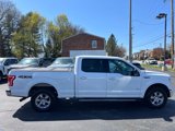 Used 2016 Ford F150 XLT w/ Equipment Group 302A Luxury image 4