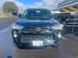 Certified 2019 Toyota 4Runner SR5 Premium image 4