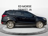 Used 2019 Ford Escape SEL image 6