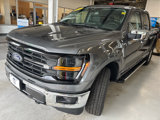 New 2025 Ford F150 XLT w/ Equipment Group 302A MID image 3