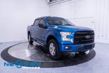 Used 2017 Ford F150 XLT w/ Equipment Group 302A Luxury image 3
