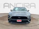 Used 2022 Ford Mustang GT Premium w/ GT Performance Package image 3