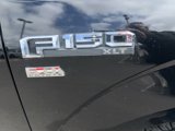 Used 2016 Ford F150 XLT image 6