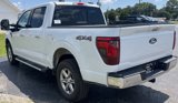 New 2024 Ford F150 XLT w/ Equipment Group 302A MID image 6
