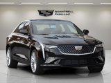 New 2025 Cadillac CT4 Premium Luxury image 2