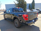 Certified 2021 Ford F150 XLT w/ Equipment Group 302A High image 4