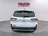 Used 2022 Ford Escape SE w/ Convenience Package image 4