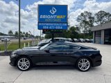 Used 2017 Ford Mustang Premium w/ Pony Package image 2