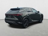 New 2025 Lexus RX 350 Premium w/ Convenience Package image 5