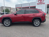 Used 2023 Toyota RAV4 XLE Premium image 2
