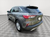 Used 2022 Ford Escape SE w/ Convenience Package image 4