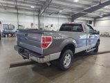 Used 2014 Ford F150 XLT w/ Equipment Group 301A Mid image 3