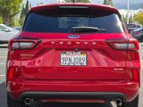 Used 2023 Ford Escape ST-Line image 6