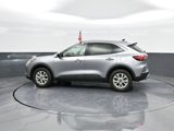 Used 2024 Ford Escape Active image 5