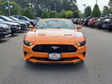Used 2020 Ford Mustang Convertible w/ Equipment Group 101A image 3