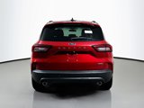 New 2025 Ford Escape ST-Line Elite w/ Tech Pack #1 image 5
