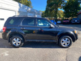 Used 2011 Ford Escape XLT image 3