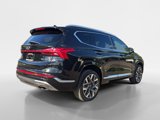 Used 2023 Hyundai Santa Fe Calligraphy w/ Cargo Package image 4