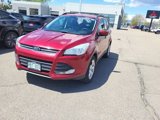 Used 2016 Ford Escape SE w/ Equipment Group 201A image 5