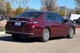 Used 2017 Honda Accord EX-L image 4