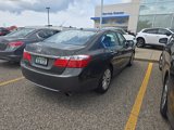 Used 2013 Honda Accord EX-L image 2