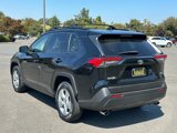 Used 2019 Toyota RAV4 XLE image 3