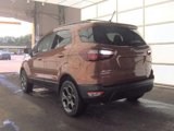 Used 2018 Ford EcoSport SES w/ SES Cold Weather Package image 2