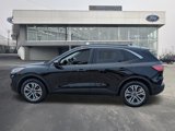Certified 2022 Ford Escape SEL image 5