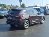 Certified 2023 Ford Escape ST-Line w/ Tech Pack #1 image 4