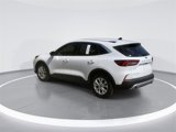 Used 2024 Ford Escape Active image 5