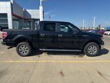 Used 2014 Ford F150 XLT w/ Equipment Group 302A Luxury image 2