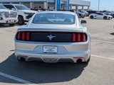 Used 2017 Ford Mustang Coupe image 4