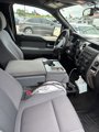 Used 2012 Ford F150 XLT w/ XLT Chrome Pkg image 5