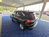 Used 2022 Ford Escape SE w/ Cold Weather Package image 4