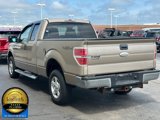Used 2011 Ford F150 XLT image 6
