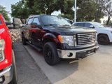 Used 2011 Ford F150 FX4 image 3
