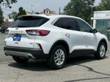 Used 2020 Ford Escape SE image 4
