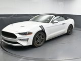 Used 2019 Ford Mustang Premium image 4