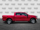 Used 2019 Ford F150 XLT w/ Equipment Group 302A Luxury image 3