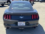 Certified 2017 Ford Mustang Coupe w/ Enhanced Security Package image 3