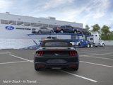 New 2025 Ford Mustang Premium image 5