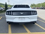Certified 2021 Ford Mustang Premium image 5