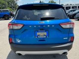 Used 2020 Ford Escape SE image 4