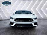 Used 2019 Ford Mustang Premium image 2
