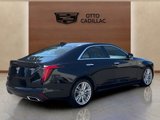 Used 2021 Cadillac CT4 Premium Luxury image 5