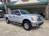 Used 2013 Ford F150 XLT w/ Luxury Equipment Group image 2