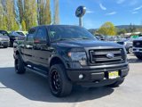 Used 2014 Ford F150 FX4 w/ Equipment Group 402A Luxury image 3