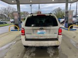 Used 2012 Ford Escape XLT image 6