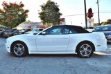 Used 2014 Ford Mustang Premium image 6