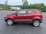 Used 2020 Ford EcoSport SE w/ SE Convenience Package image 4